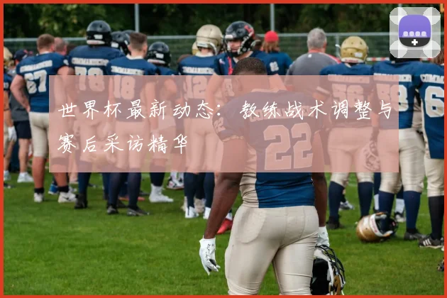 世界杯最新动态：教练战术调整与赛后采访精华
