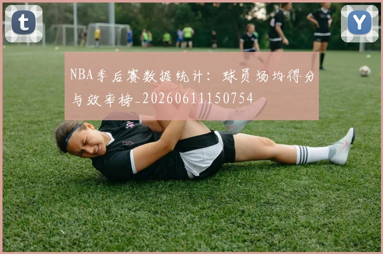 NBA季后赛数据统计：球员场均得分与效率榜_20260611150754