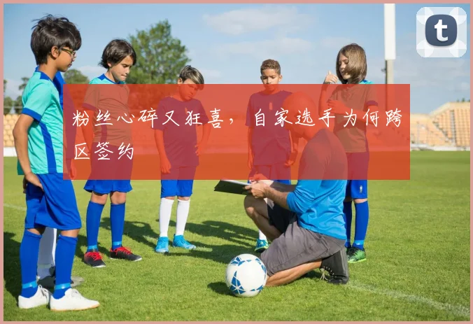 粉丝心碎又狂喜，自家选手为何跨区签约