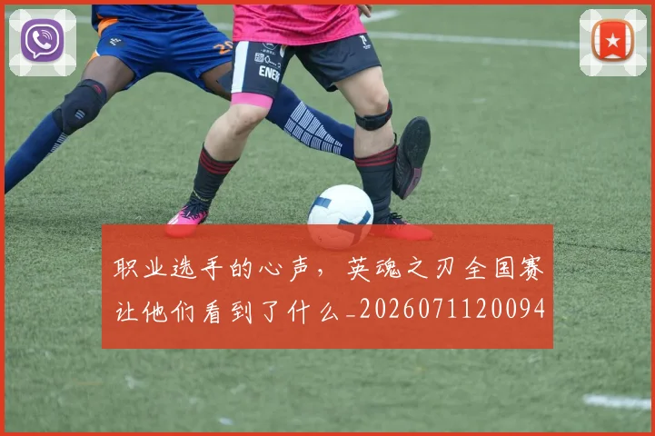 职业选手的心声,英魂之刃全国赛让他们看到了什么_20260711200946